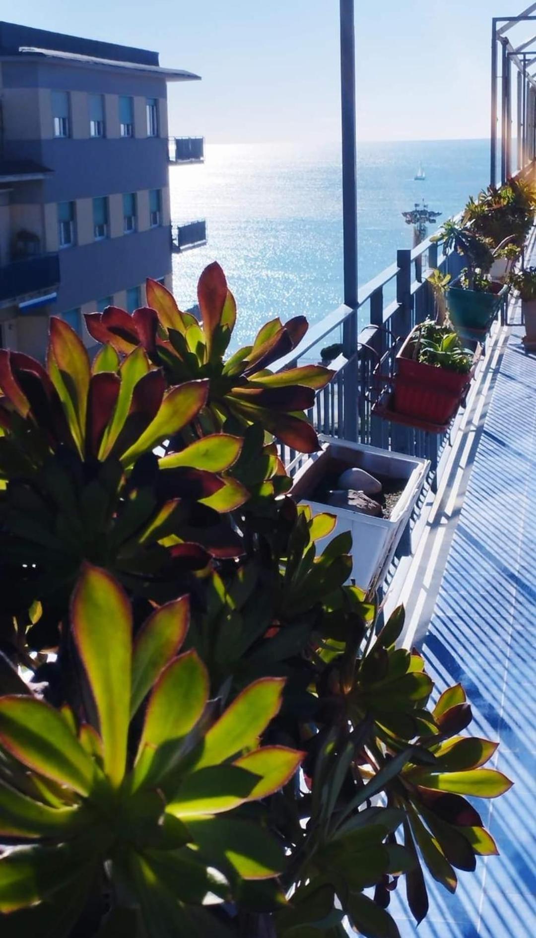 Alta Quota Relax On The Sea Bed and Breakfast Salerno Exteriör bild